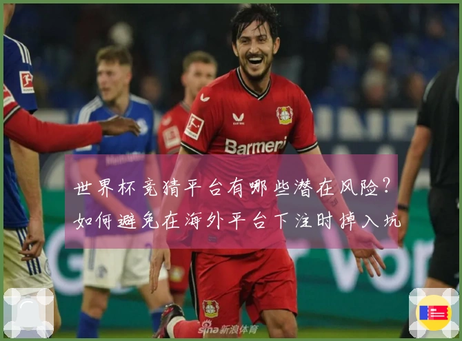 世界杯竞猜平台有哪些潜在风险？如何避免在海外平台下注时掉入坑中？