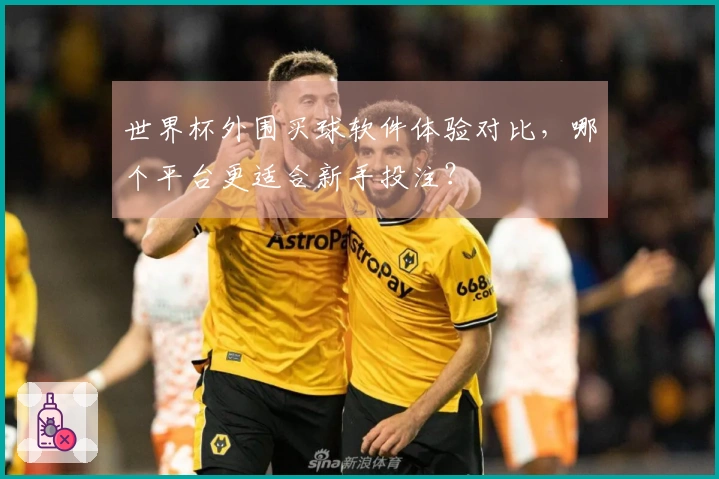 世界杯外围买球软件体验对比，哪个平台更适合新手投注？